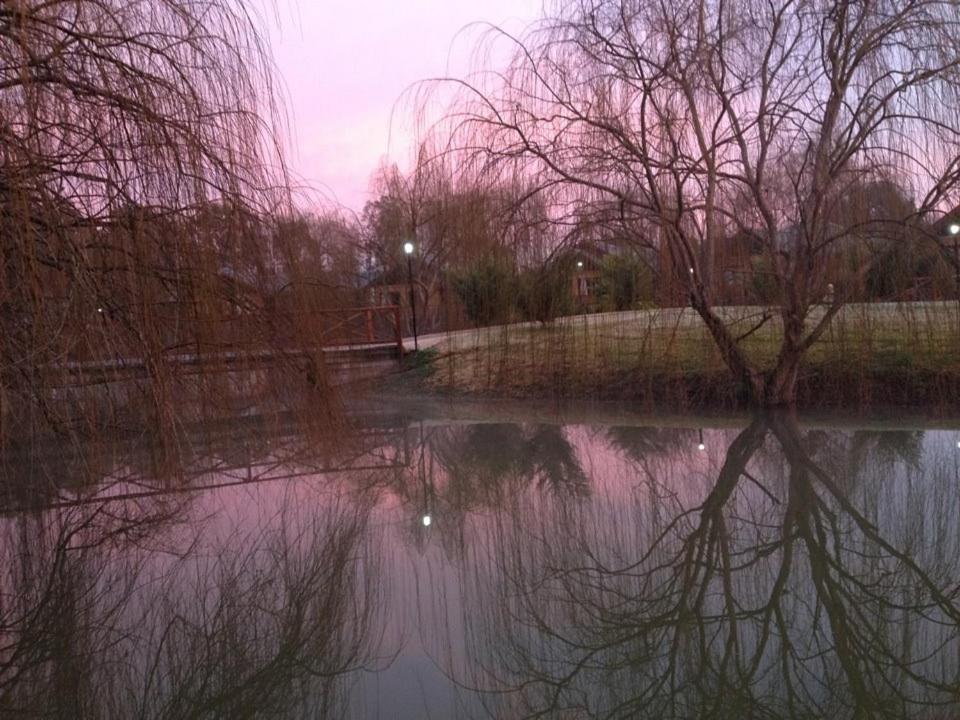 Hotel Perricoota Vines Retreat Moama Zewnętrze zdjęcie