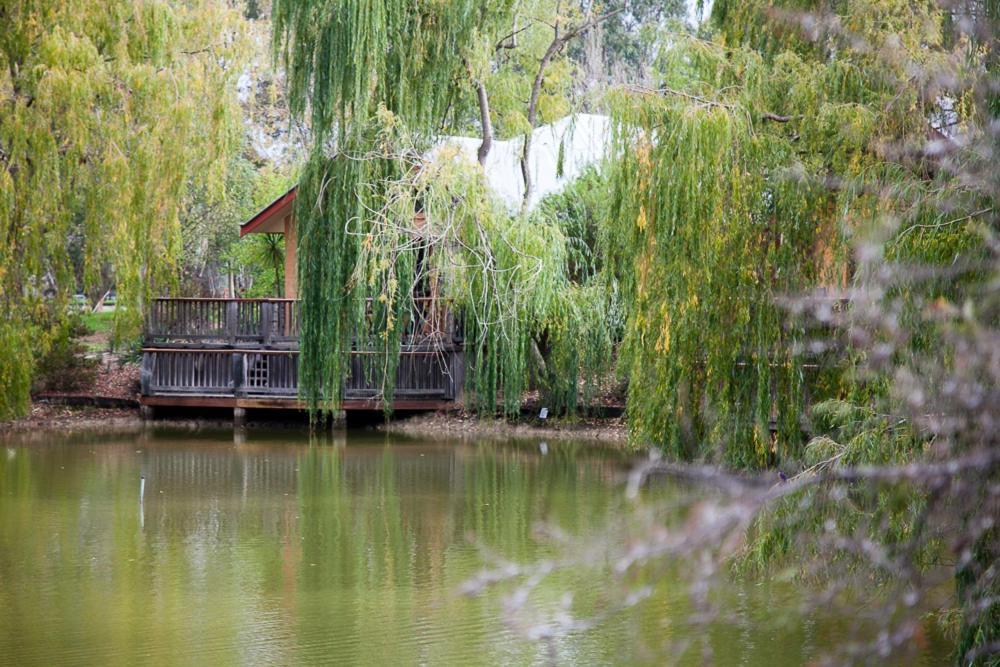 Hotel Perricoota Vines Retreat Moama Pokój zdjęcie