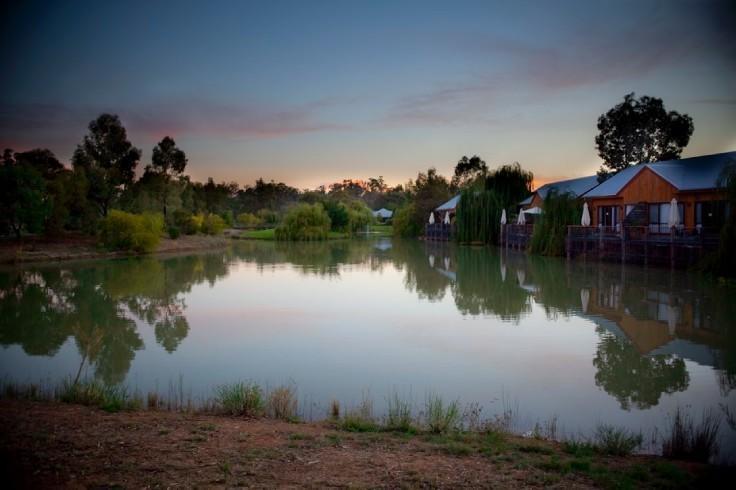 Hotel Perricoota Vines Retreat Moama Pokój zdjęcie