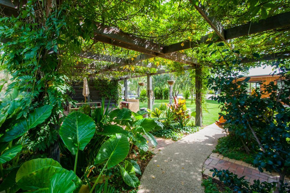 Hotel Perricoota Vines Retreat Moama Zewnętrze zdjęcie