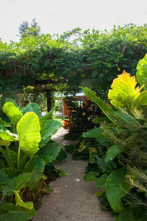 Hotel Perricoota Vines Retreat Moama Zewnętrze zdjęcie