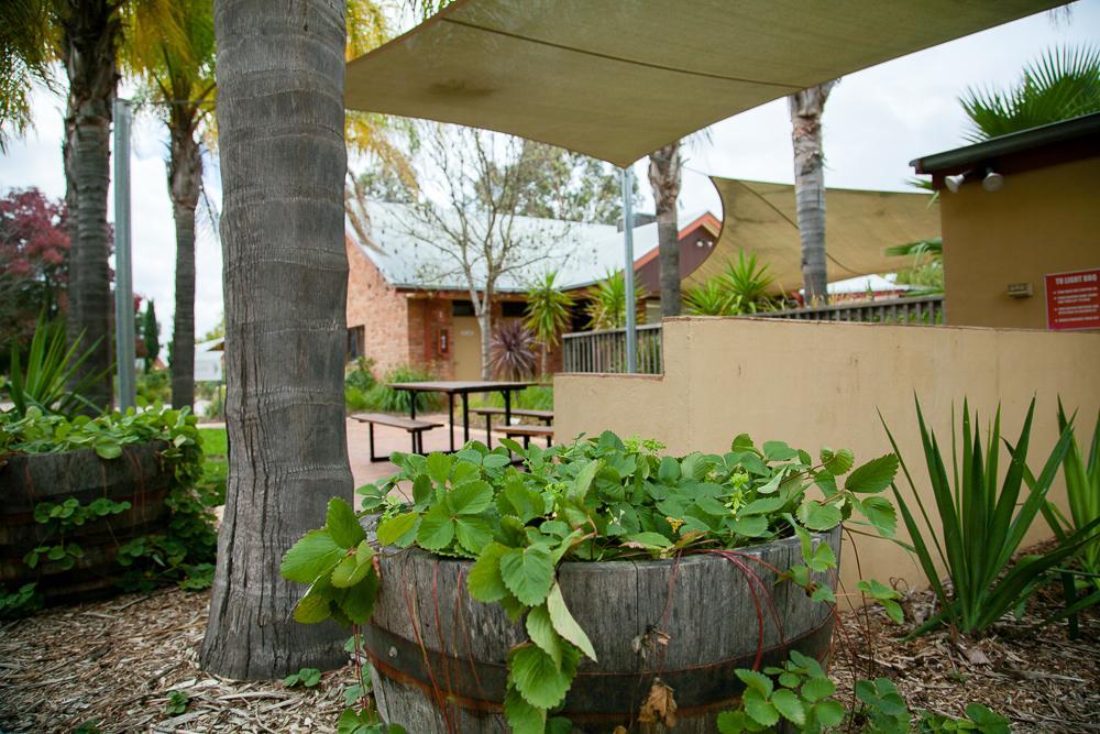 Hotel Perricoota Vines Retreat Moama Zewnętrze zdjęcie