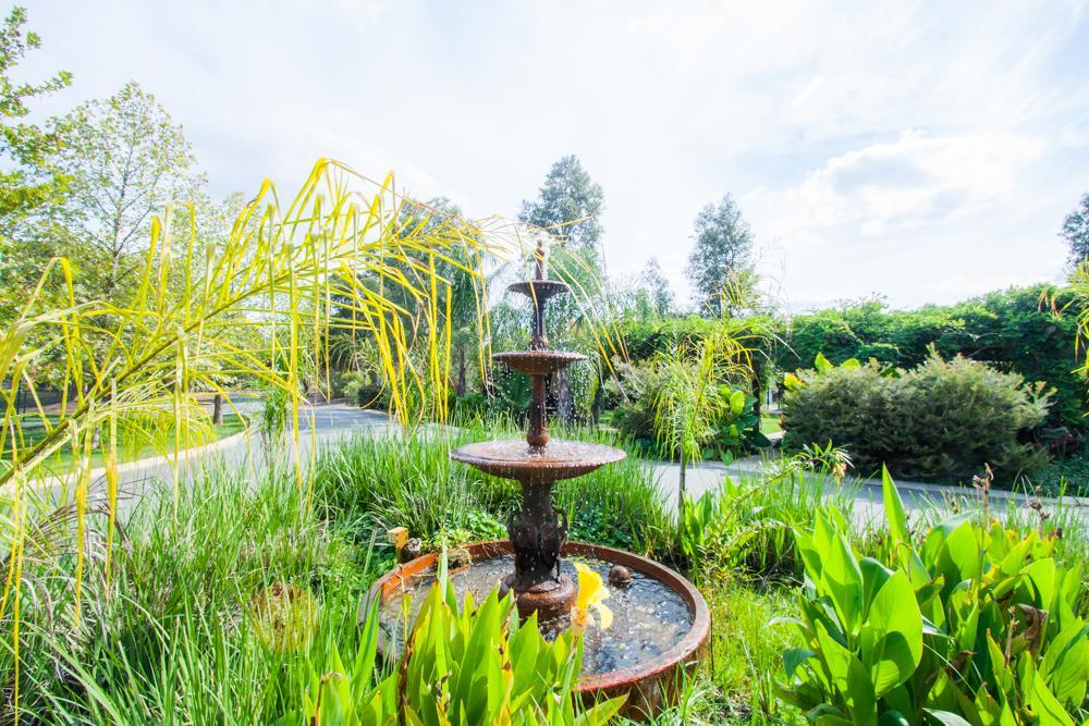 Hotel Perricoota Vines Retreat Moama Zewnętrze zdjęcie