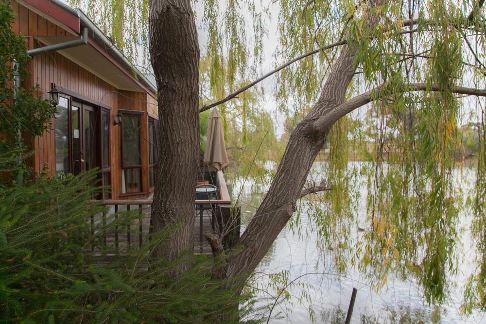 Hotel Perricoota Vines Retreat Moama Pokój zdjęcie
