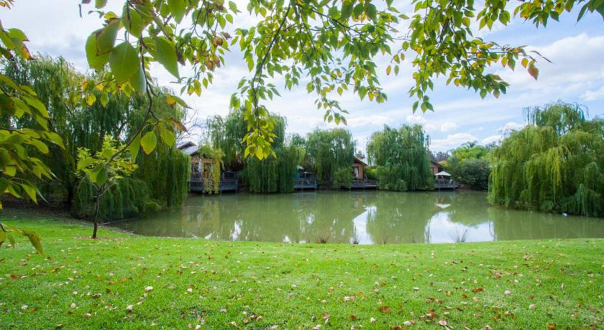 Hotel Perricoota Vines Retreat Moama Zewnętrze zdjęcie