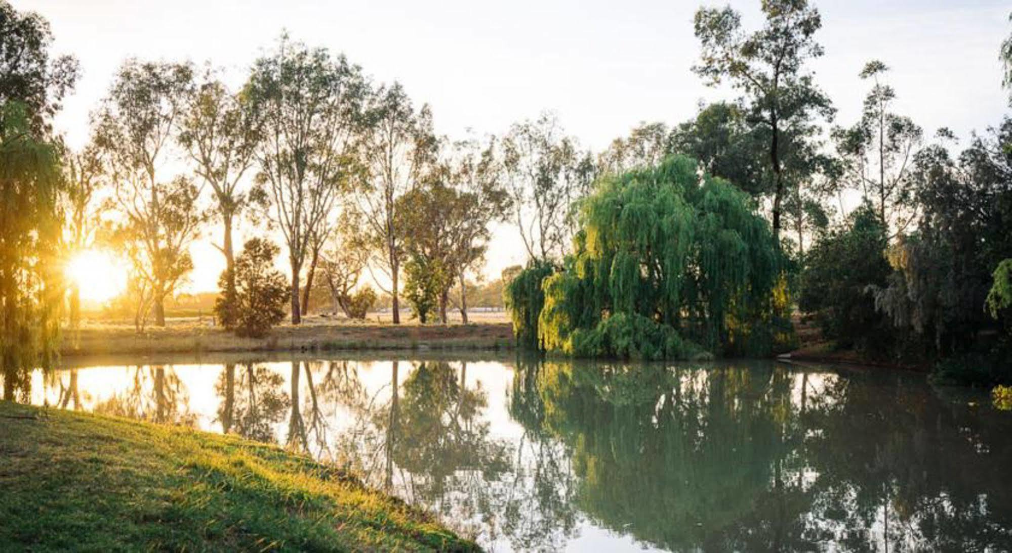 Hotel Perricoota Vines Retreat Moama Zewnętrze zdjęcie